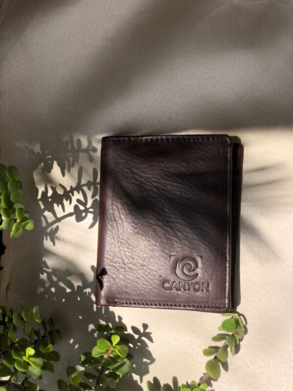 Dark Brown wallet purse card holder